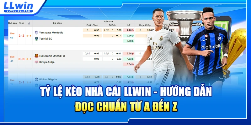 Các khía cạnh giải mã tỷ lệ kèo nhà cái