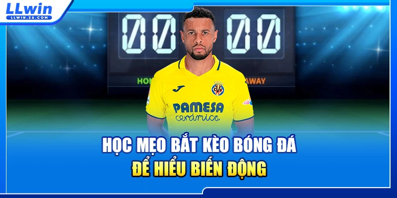 Học mẹo bắt kèo bóng đá để hiểu biến động 