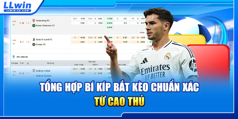 Tổng hợp bí kíp bắt kèo chuẩn xác từ cao thủ